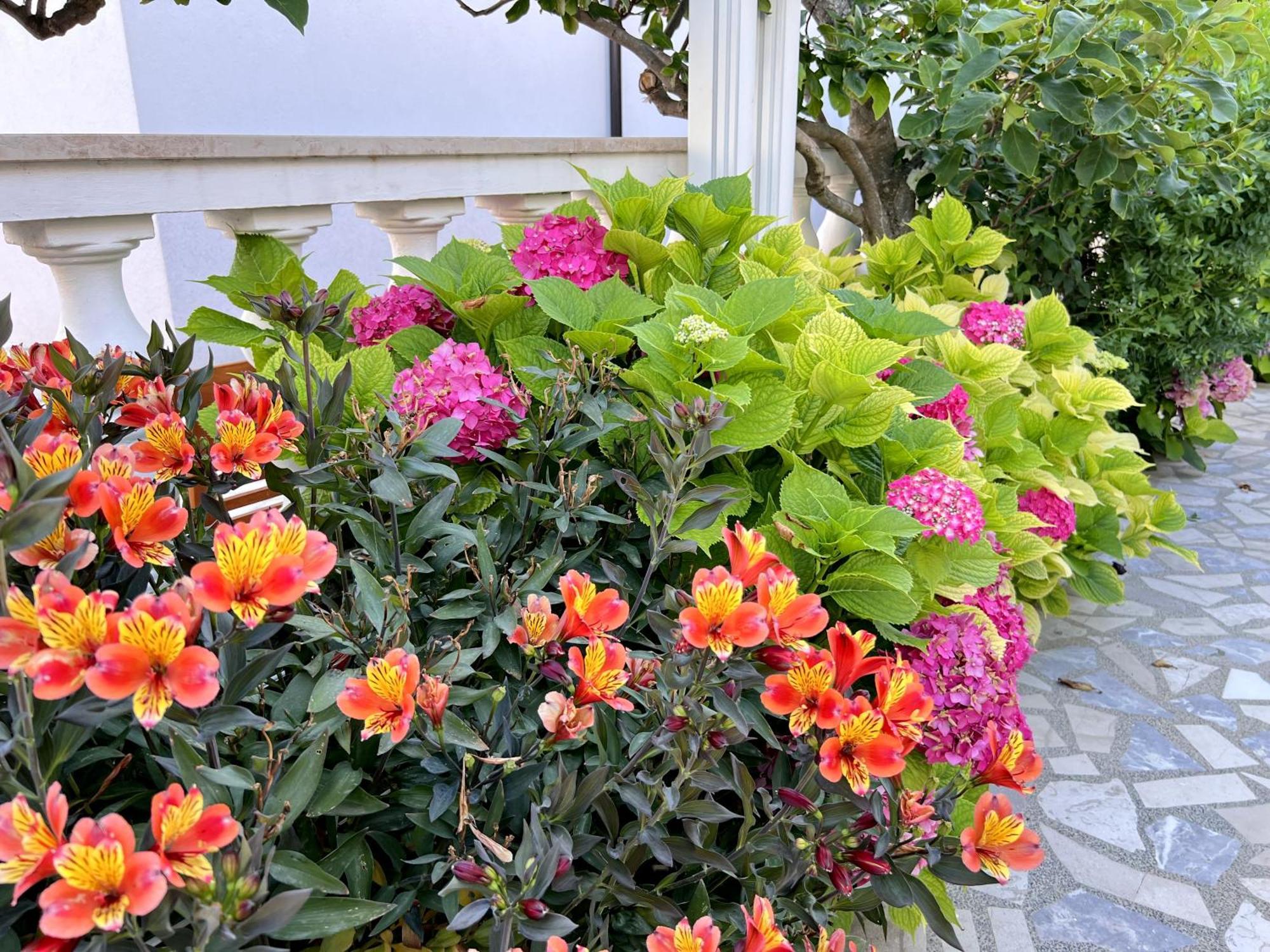 Palit Bed & Breakfast Rab المظهر الخارجي الصورة