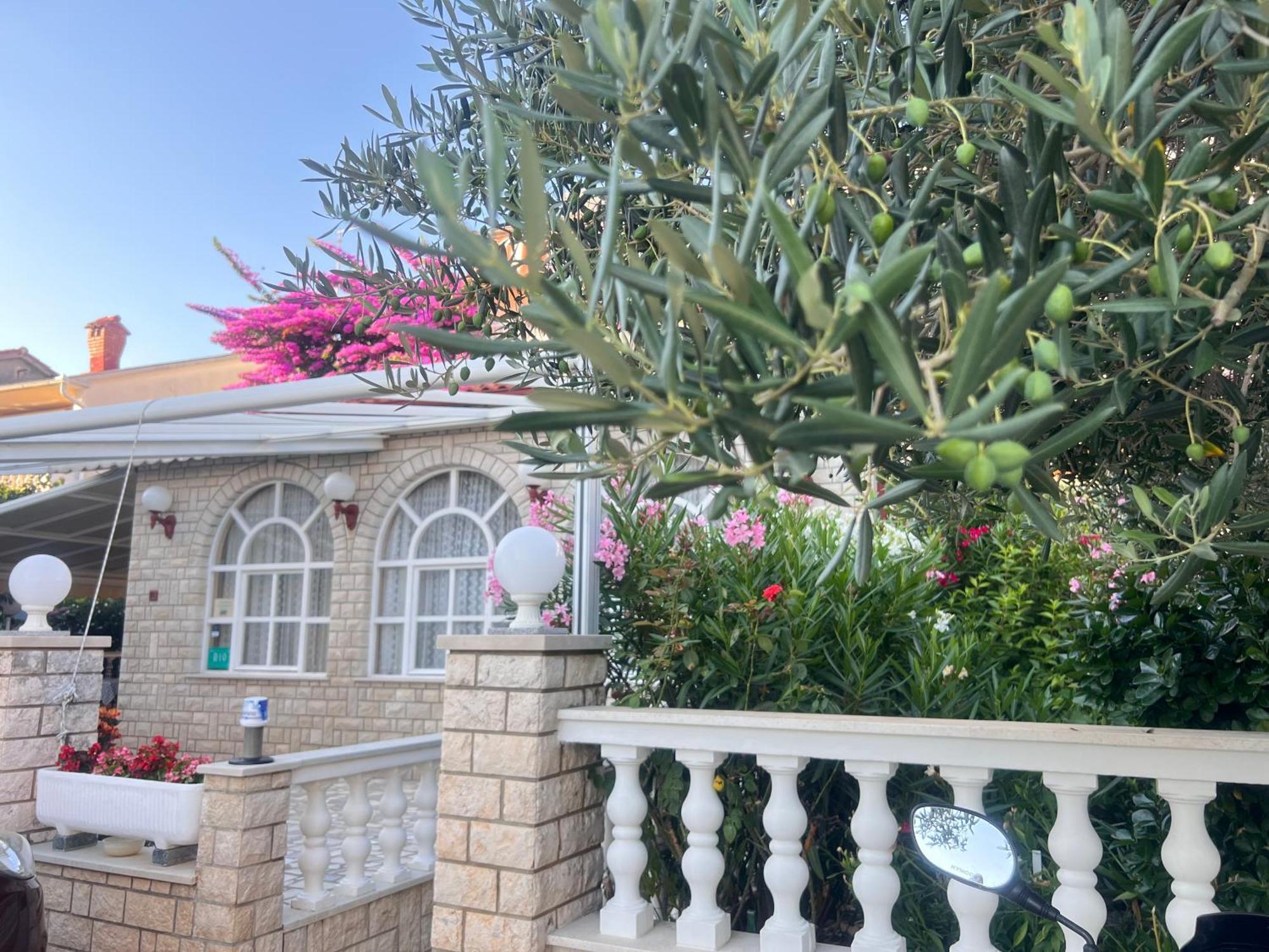Palit Bed & Breakfast Rab المظهر الخارجي الصورة
