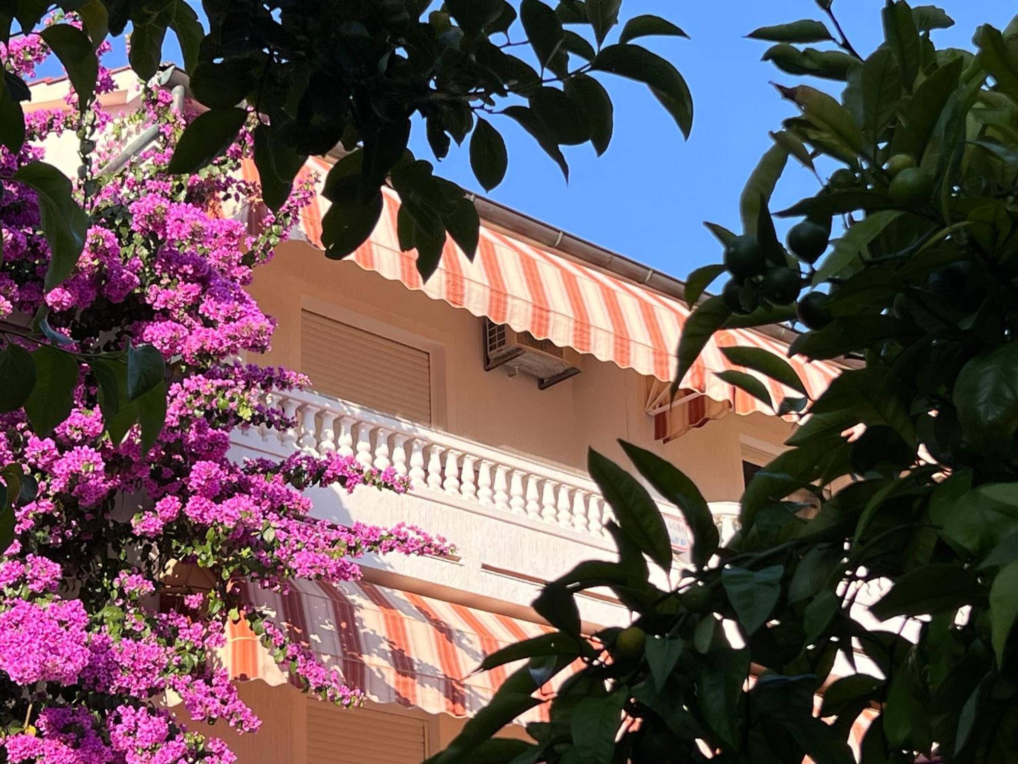 Palit Bed & Breakfast Rab المظهر الخارجي الصورة
